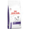 Royal Canin - Adult Small DOG 4kg 